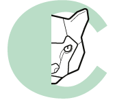 logo Ocelot de Malika Céladon